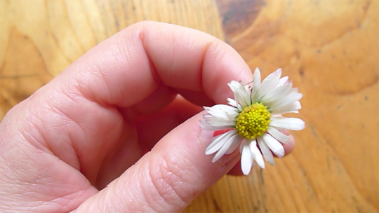 Impossible de lire la video