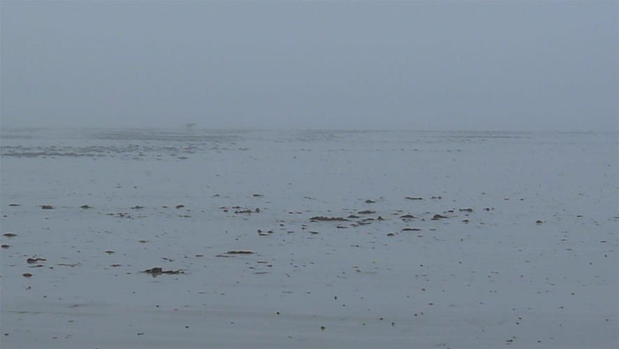 Impossible de lire la video